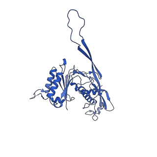 17739_8pkh_AF_v1-3
Borrelia bacteriophage BB1 procapsid, fivefold-symmetrized outer shell