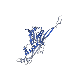 17739_8pkh_AI_v1-3
Borrelia bacteriophage BB1 procapsid, fivefold-symmetrized outer shell