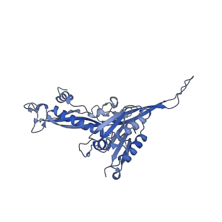 17739_8pkh_AM_v1-3
Borrelia bacteriophage BB1 procapsid, fivefold-symmetrized outer shell