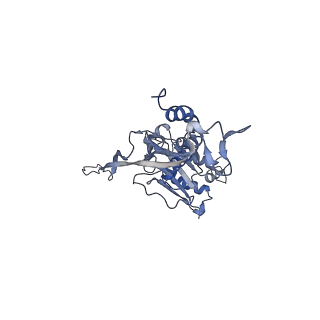 17739_8pkh_AO_v1-3
Borrelia bacteriophage BB1 procapsid, fivefold-symmetrized outer shell