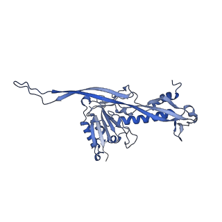 17739_8pkh_AR_v1-3
Borrelia bacteriophage BB1 procapsid, fivefold-symmetrized outer shell
