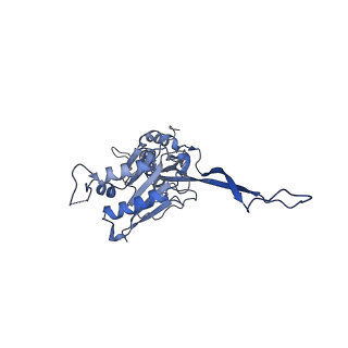17739_8pkh_AT_v1-3
Borrelia bacteriophage BB1 procapsid, fivefold-symmetrized outer shell