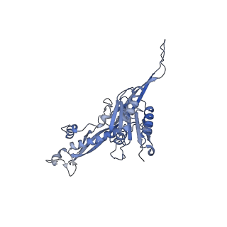 17739_8pkh_AW_v1-3
Borrelia bacteriophage BB1 procapsid, fivefold-symmetrized outer shell