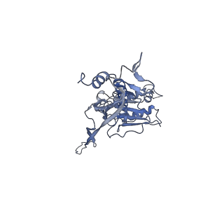 17739_8pkh_AX_v1-3
Borrelia bacteriophage BB1 procapsid, fivefold-symmetrized outer shell