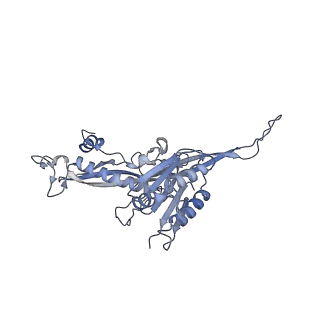 17739_8pkh_AZ_v1-3
Borrelia bacteriophage BB1 procapsid, fivefold-symmetrized outer shell