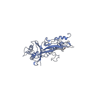 17739_8pkh_BA_v1-3
Borrelia bacteriophage BB1 procapsid, fivefold-symmetrized outer shell