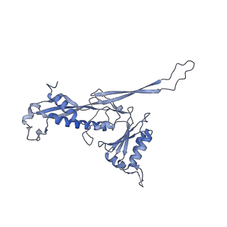 17739_8pkh_BB_v1-3
Borrelia bacteriophage BB1 procapsid, fivefold-symmetrized outer shell