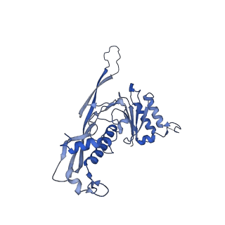 17739_8pkh_BF_v1-3
Borrelia bacteriophage BB1 procapsid, fivefold-symmetrized outer shell