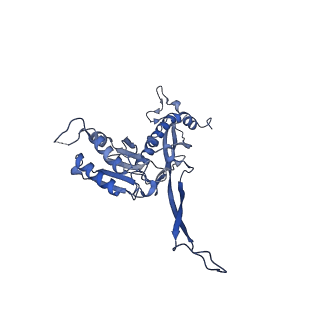 17739_8pkh_BH_v1-3
Borrelia bacteriophage BB1 procapsid, fivefold-symmetrized outer shell