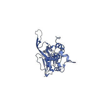 17739_8pkh_BJ_v1-3
Borrelia bacteriophage BB1 procapsid, fivefold-symmetrized outer shell