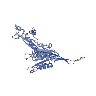 17739_8pkh_BK_v1-3
Borrelia bacteriophage BB1 procapsid, fivefold-symmetrized outer shell