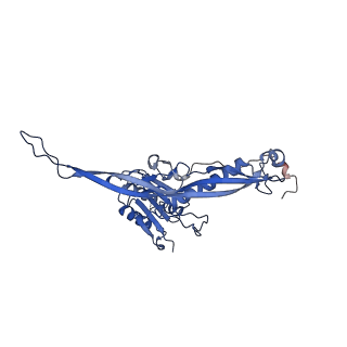 17739_8pkh_BM_v1-3
Borrelia bacteriophage BB1 procapsid, fivefold-symmetrized outer shell