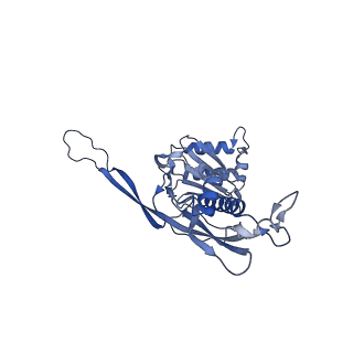 17739_8pkh_BQ_v1-3
Borrelia bacteriophage BB1 procapsid, fivefold-symmetrized outer shell