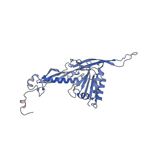 17739_8pkh_BR_v1-3
Borrelia bacteriophage BB1 procapsid, fivefold-symmetrized outer shell