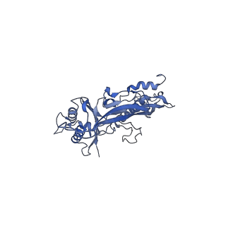 17739_8pkh_BS_v1-3
Borrelia bacteriophage BB1 procapsid, fivefold-symmetrized outer shell