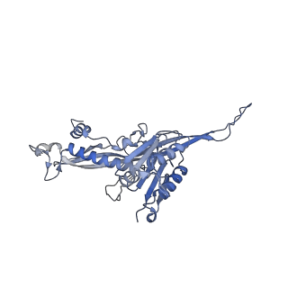 17739_8pkh_BU_v1-3
Borrelia bacteriophage BB1 procapsid, fivefold-symmetrized outer shell