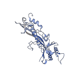 17739_8pkh_BV_v1-3
Borrelia bacteriophage BB1 procapsid, fivefold-symmetrized outer shell