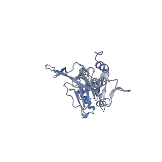 17739_8pkh_CD_v1-3
Borrelia bacteriophage BB1 procapsid, fivefold-symmetrized outer shell