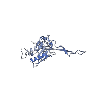 17739_8pkh_CF_v1-3
Borrelia bacteriophage BB1 procapsid, fivefold-symmetrized outer shell