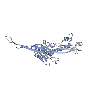 17739_8pkh_CG_v1-3
Borrelia bacteriophage BB1 procapsid, fivefold-symmetrized outer shell