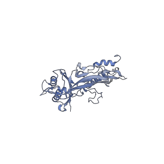 17739_8pkh_CH_v1-3
Borrelia bacteriophage BB1 procapsid, fivefold-symmetrized outer shell