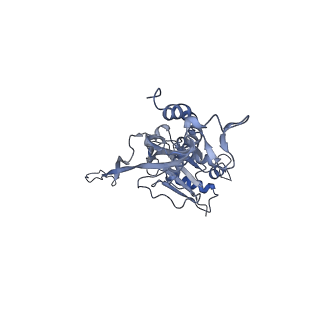 17739_8pkh_CJ_v1-3
Borrelia bacteriophage BB1 procapsid, fivefold-symmetrized outer shell