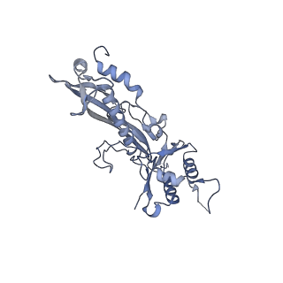 17739_8pkh_CK_v1-3
Borrelia bacteriophage BB1 procapsid, fivefold-symmetrized outer shell