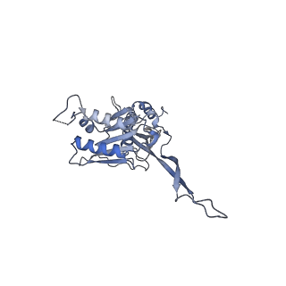 17739_8pkh_CL_v1-3
Borrelia bacteriophage BB1 procapsid, fivefold-symmetrized outer shell