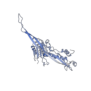 17739_8pkh_CM_v1-3
Borrelia bacteriophage BB1 procapsid, fivefold-symmetrized outer shell