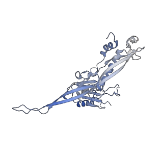 17739_8pkh_CR_v1-3
Borrelia bacteriophage BB1 procapsid, fivefold-symmetrized outer shell