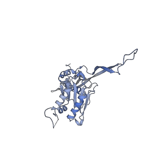 17739_8pkh_CS_v1-3
Borrelia bacteriophage BB1 procapsid, fivefold-symmetrized outer shell