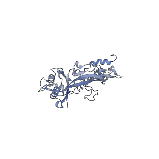 17739_8pkh_CT_v1-3
Borrelia bacteriophage BB1 procapsid, fivefold-symmetrized outer shell