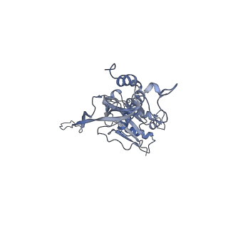 17739_8pkh_CU_v1-3
Borrelia bacteriophage BB1 procapsid, fivefold-symmetrized outer shell