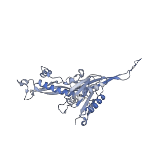 17739_8pkh_CV_v1-3
Borrelia bacteriophage BB1 procapsid, fivefold-symmetrized outer shell