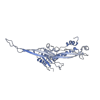 17739_8pkh_CX_v1-3
Borrelia bacteriophage BB1 procapsid, fivefold-symmetrized outer shell