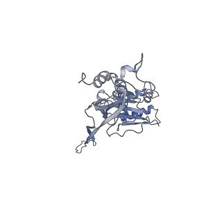 17739_8pkh_DA_v1-3
Borrelia bacteriophage BB1 procapsid, fivefold-symmetrized outer shell