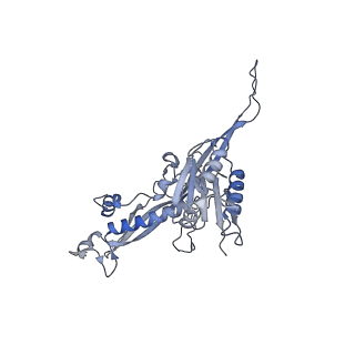 17739_8pkh_DB_v1-3
Borrelia bacteriophage BB1 procapsid, fivefold-symmetrized outer shell