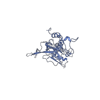 17739_8pkh_DE_v1-3
Borrelia bacteriophage BB1 procapsid, fivefold-symmetrized outer shell