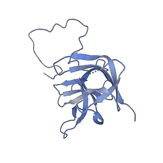 17739_8pkh_DF_v1-3
Borrelia bacteriophage BB1 procapsid, fivefold-symmetrized outer shell