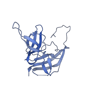 17739_8pkh_DG_v1-3
Borrelia bacteriophage BB1 procapsid, fivefold-symmetrized outer shell