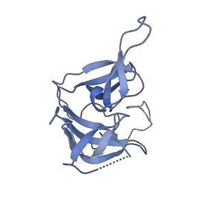 17739_8pkh_DI_v1-3
Borrelia bacteriophage BB1 procapsid, fivefold-symmetrized outer shell