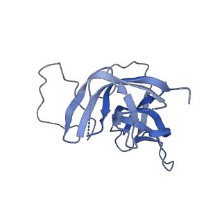 17739_8pkh_DJ_v1-3
Borrelia bacteriophage BB1 procapsid, fivefold-symmetrized outer shell