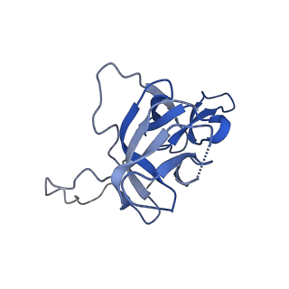 17739_8pkh_DK_v1-3
Borrelia bacteriophage BB1 procapsid, fivefold-symmetrized outer shell