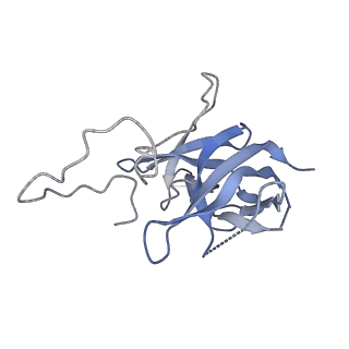 17739_8pkh_DM_v1-3
Borrelia bacteriophage BB1 procapsid, fivefold-symmetrized outer shell