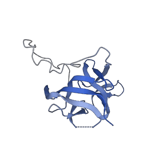 17739_8pkh_DP_v1-3
Borrelia bacteriophage BB1 procapsid, fivefold-symmetrized outer shell