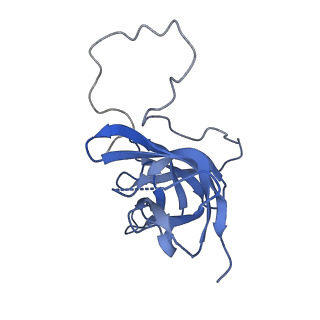 17739_8pkh_DR_v1-3
Borrelia bacteriophage BB1 procapsid, fivefold-symmetrized outer shell