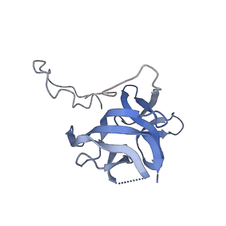 17739_8pkh_DY_v1-3
Borrelia bacteriophage BB1 procapsid, fivefold-symmetrized outer shell