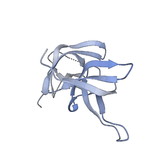 17739_8pkh_EA_v1-3
Borrelia bacteriophage BB1 procapsid, fivefold-symmetrized outer shell