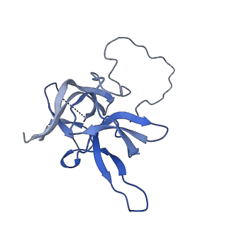 17739_8pkh_EC_v1-3
Borrelia bacteriophage BB1 procapsid, fivefold-symmetrized outer shell