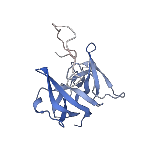 17739_8pkh_ED_v1-3
Borrelia bacteriophage BB1 procapsid, fivefold-symmetrized outer shell